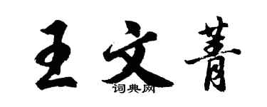 胡问遂王文菁行书个性签名怎么写