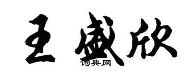 胡问遂王盛欣行书个性签名怎么写
