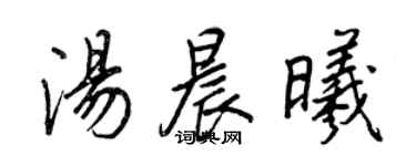 王正良汤晨曦行书个性签名怎么写