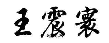 胡问遂王震寰行书个性签名怎么写