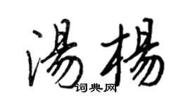 王正良汤杨行书个性签名怎么写