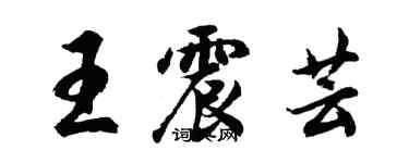 胡问遂王震芸行书个性签名怎么写