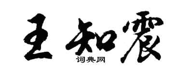 胡问遂王知震行书个性签名怎么写