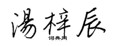 王正良汤梓辰行书个性签名怎么写
