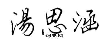王正良汤思涵行书个性签名怎么写