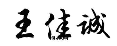 胡问遂王佳诚行书个性签名怎么写
