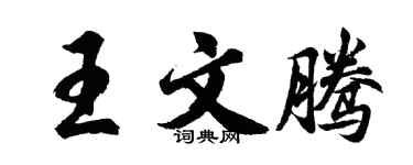 胡问遂王文腾行书个性签名怎么写
