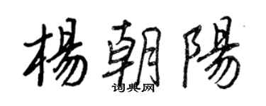王正良杨朝阳行书个性签名怎么写