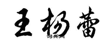 胡问遂王杨蕾行书个性签名怎么写