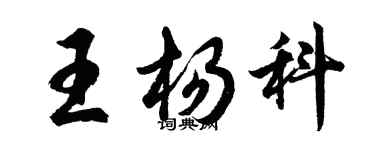胡问遂王杨科行书个性签名怎么写