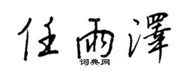 王正良任雨泽行书个性签名怎么写