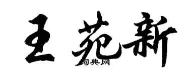 胡问遂王苑新行书个性签名怎么写