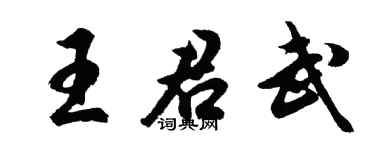 胡问遂王君武行书个性签名怎么写