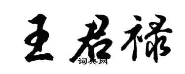 胡问遂王君禄行书个性签名怎么写