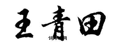 胡问遂王青田行书个性签名怎么写