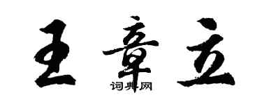 胡问遂王章立行书个性签名怎么写