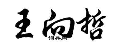 胡问遂王向哲行书个性签名怎么写