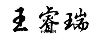 胡问遂王睿瑞行书个性签名怎么写