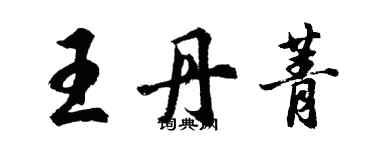 胡问遂王丹菁行书个性签名怎么写