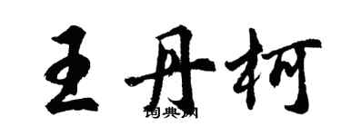 胡问遂王丹柯行书个性签名怎么写