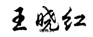 胡问遂王晓红行书个性签名怎么写