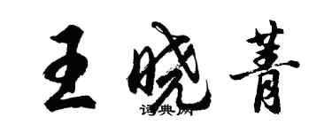 胡问遂王晓菁行书个性签名怎么写