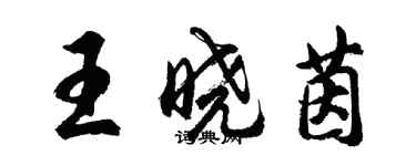 胡问遂王晓茵行书个性签名怎么写