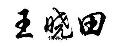 胡问遂王晓田行书个性签名怎么写