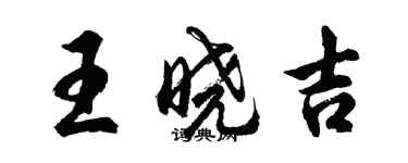 胡问遂王晓吉行书个性签名怎么写