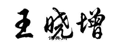 胡问遂王晓增行书个性签名怎么写