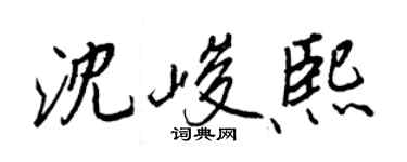 王正良沈峻熙行书个性签名怎么写
