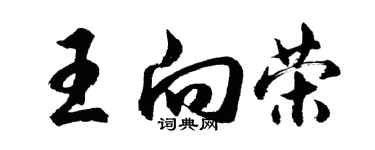 胡问遂王向荣行书个性签名怎么写