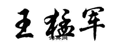 胡问遂王猛军行书个性签名怎么写