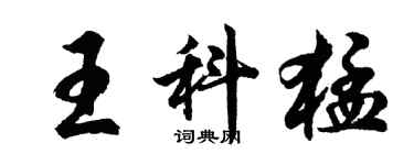 胡问遂王科猛行书个性签名怎么写