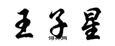 胡问遂王子星行书个性签名怎么写