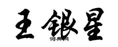 胡问遂王银星行书个性签名怎么写