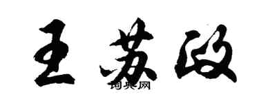 胡问遂王苏政行书个性签名怎么写