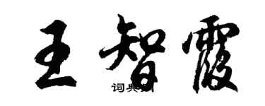 胡问遂王智霞行书个性签名怎么写