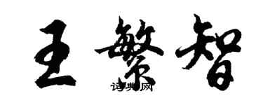 胡问遂王繁智行书个性签名怎么写