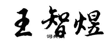胡问遂王智煜行书个性签名怎么写