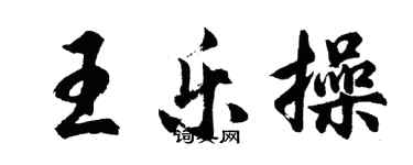 胡问遂王乐操行书个性签名怎么写