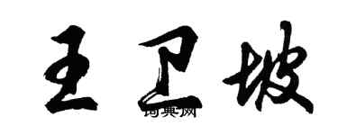 胡问遂王卫坡行书个性签名怎么写