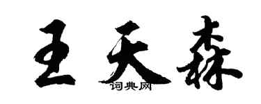 胡问遂王天森行书个性签名怎么写