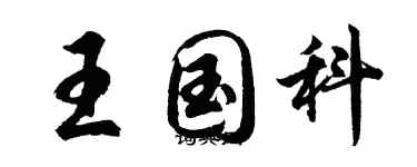 胡问遂王国科行书个性签名怎么写