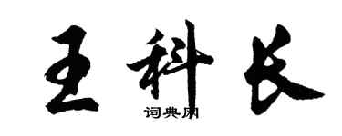 胡问遂王科长行书个性签名怎么写