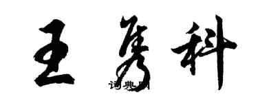 胡问遂王隽科行书个性签名怎么写