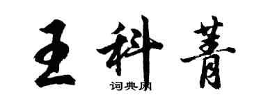 胡问遂王科菁行书个性签名怎么写