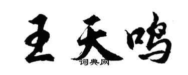 胡问遂王天鸣行书个性签名怎么写