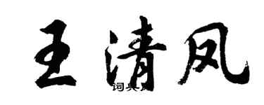 胡问遂王清凤行书个性签名怎么写