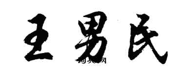 胡问遂王男民行书个性签名怎么写
